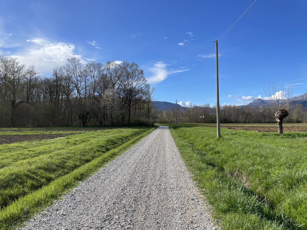 Nelle campagne tra Majano e San Daniele